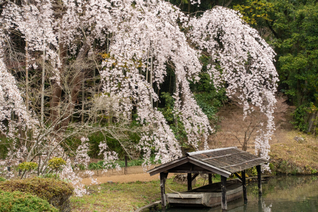 曹源寺