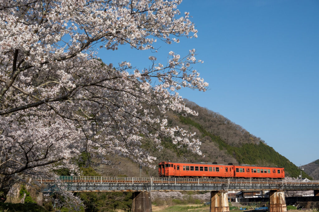 観波橋河川公園