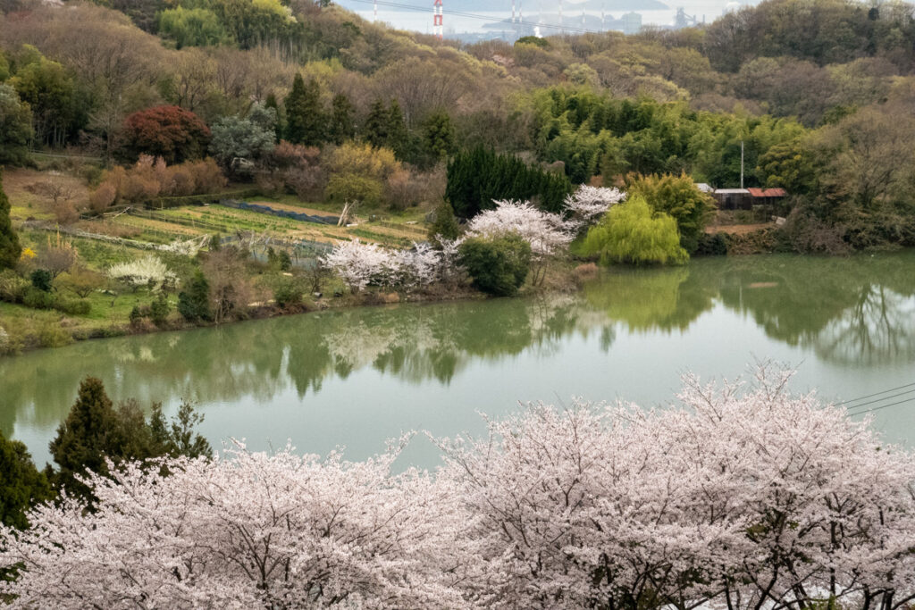 種松山