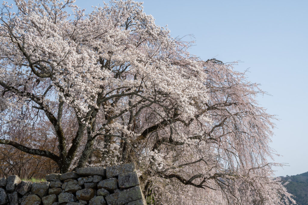 津山城