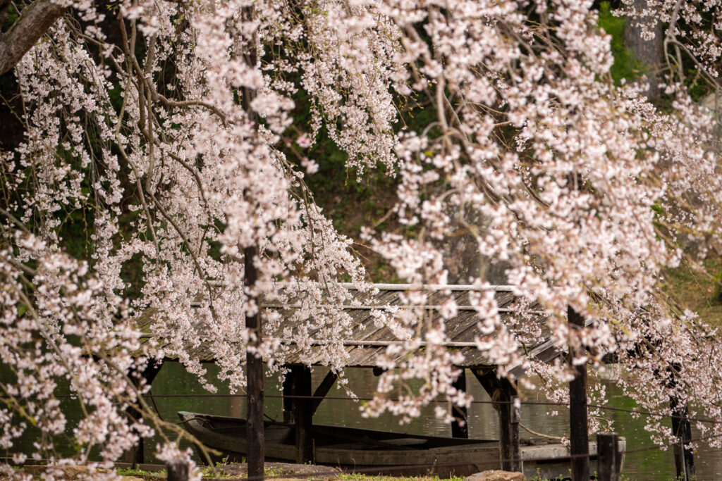 曹源寺