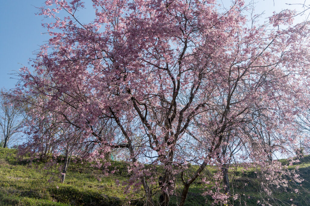 美作市水道公園