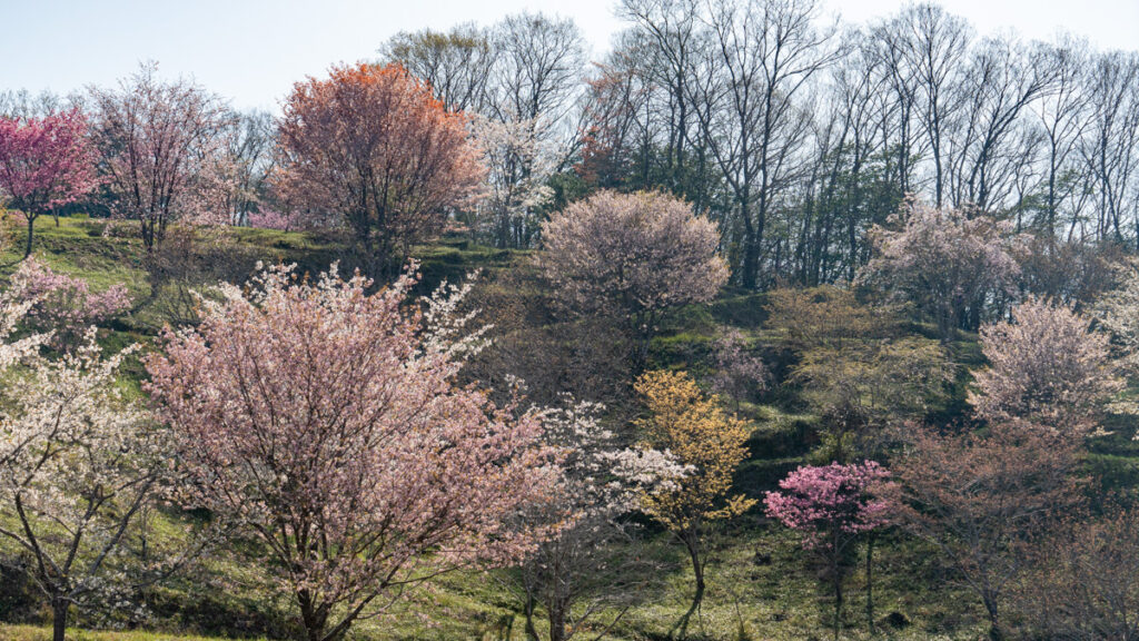 美作市水道公園