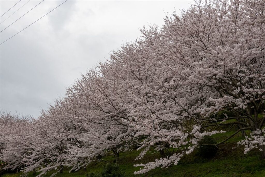 開山公園