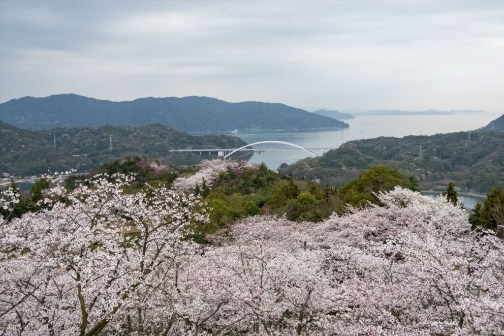 開山公園